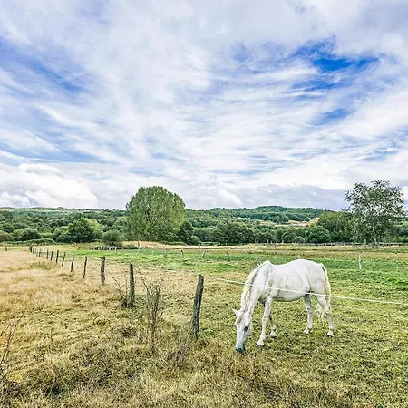 Hébergement de vacances 1 Bedroom Stunning In Galicia Belesar